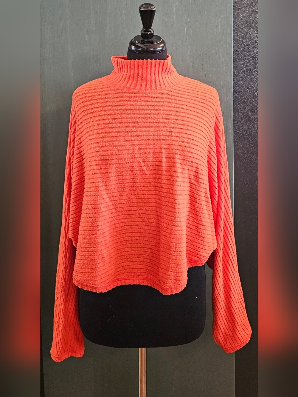 Pilcro Cropped Long Sleeve Top
